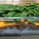 Rezept Schlank Gemueseglasnudeln Mit Faschiertem 2021 - Gemüse Glasnudeln mit Faschiertem